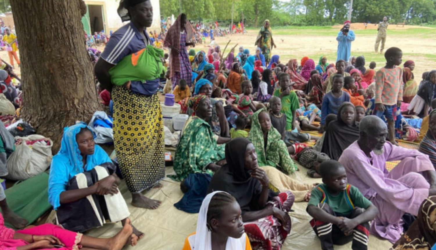 Tchad - réfugiés camerounais